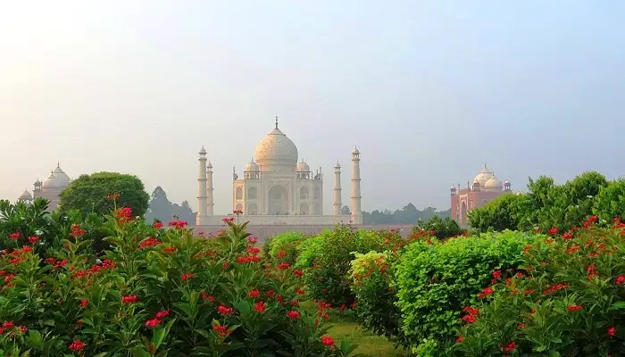 Agra Travel Guide: Must see spots and things to do 5 A breathtaking view of the Taj Mahal from Mehtab Bagh, visited by our guests during their India Group Tour as part of the Agra Trip Package