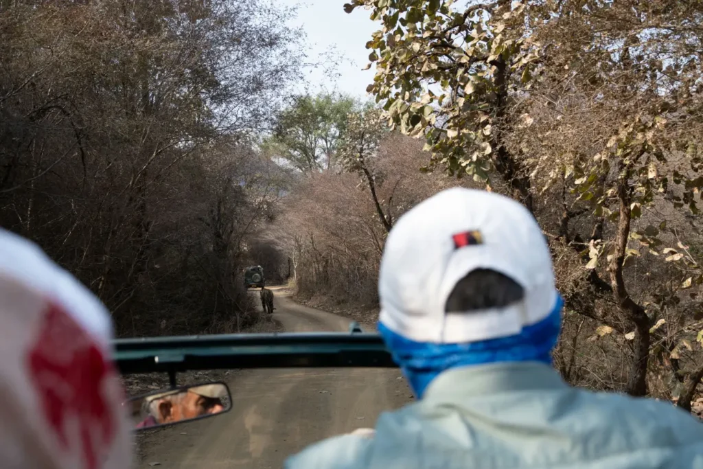 Complete India Golden Triangle Tour Guide - A Journey Through India's Most Iconic Destinations 5 Zone 7 ranthambhore national park Sawai Madhopur Rajasthan India